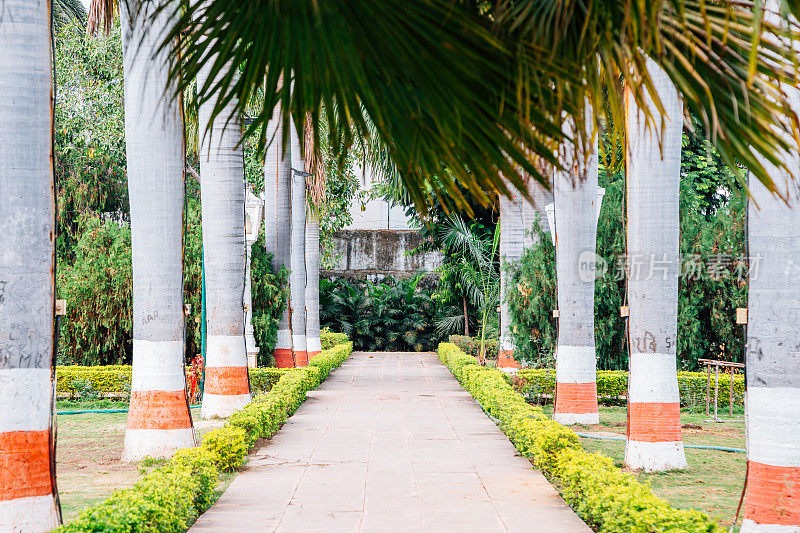 Saheliyon Ki Bari(少女花园)在乌代普尔，印度